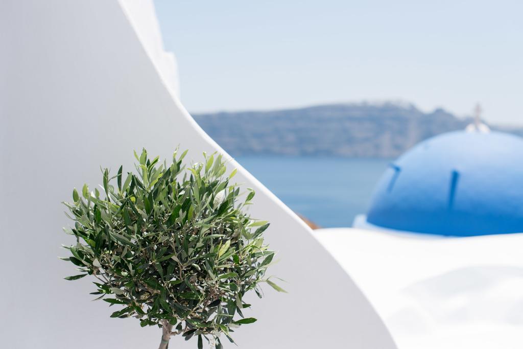 Evmenia Luxury Cave Villa Oia  Bagian luar foto